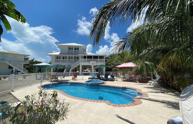 Atlantic View Luxury Villa with Pool - Foto 23