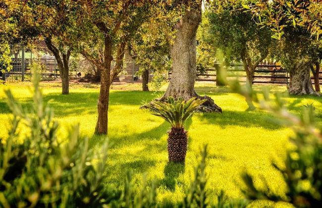 Tenuta Corano Nardò - Foto 27