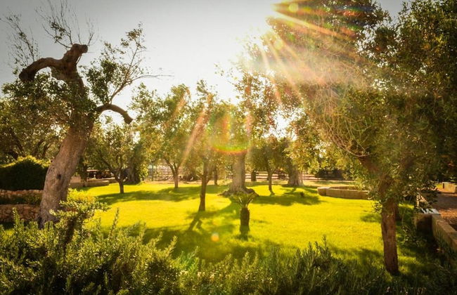 Tenuta Corano Nardò - Foto 26