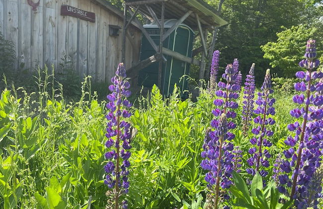 Streeter Mountain Farm - Foto 11