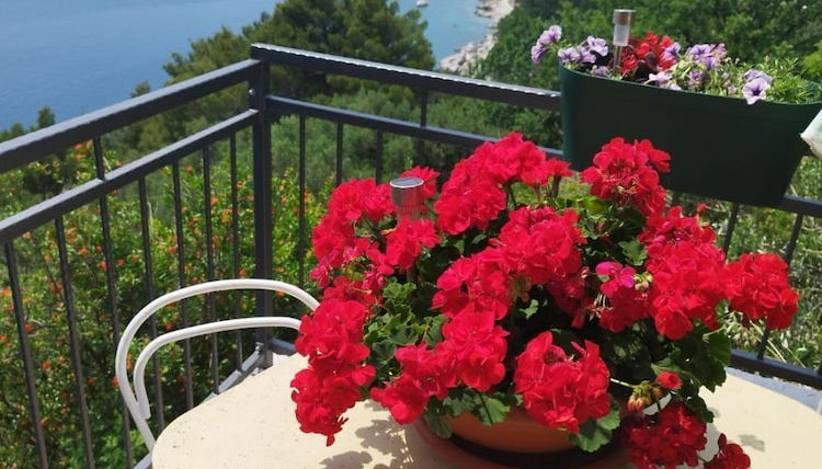 Foto 1 - Mare - 150 m From Beach - A2