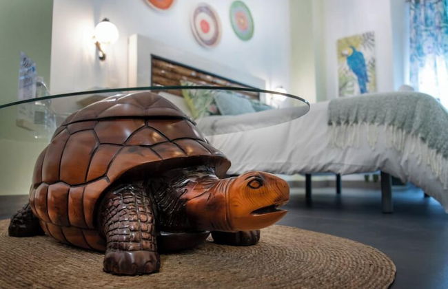 Molucano Themed Rooms - Foto 11