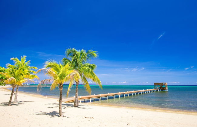 Lawson Rock - Angelfish 100 - Photo 14