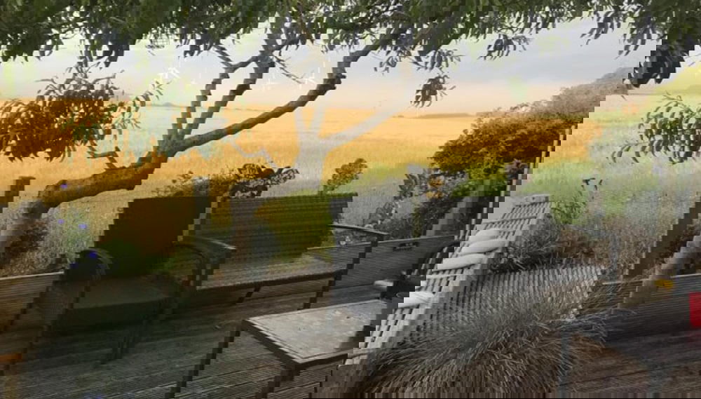Imagem principal