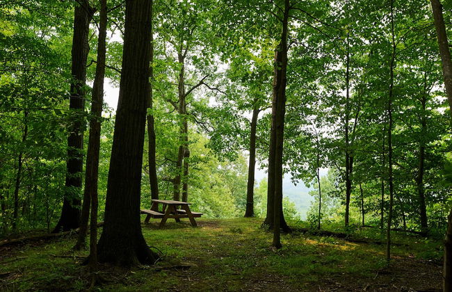 Valley Overlook - Foto 15