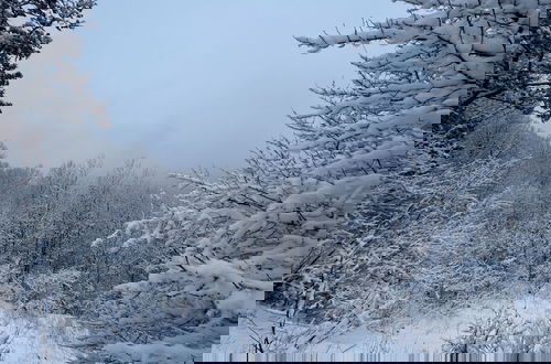 Photo 12 - Valley Overlook