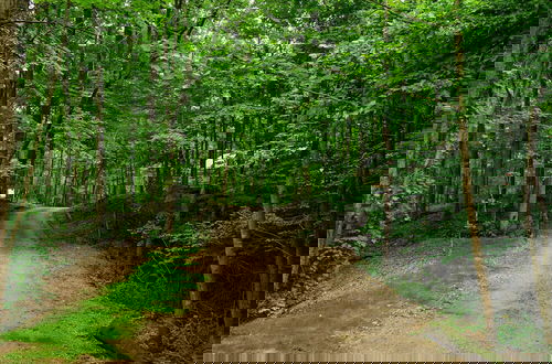 Photo 16 - Valley Overlook
