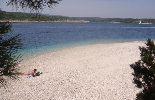 Rajko - 40 m From Beach - A3 - Foto 11