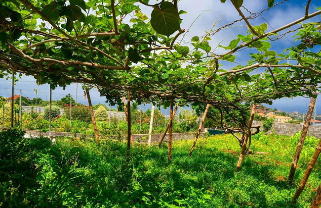 O Lagar do Avô, a Home in Madeira - Foto 87