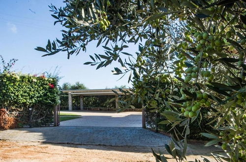 Photo 18 - Cozy Flat in an Olive Grove 1 5km to a Sandy Beach