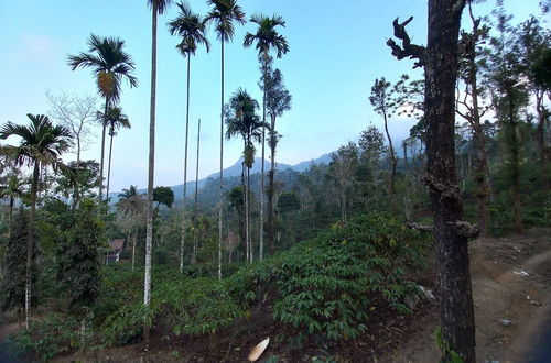 Photo 7 - Manikkal Bungalow Uphill Cottage Large