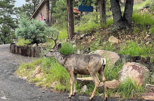 Photo 20 - Ruidoso Home w/ Hot Tub, Mtn Views & Game Room