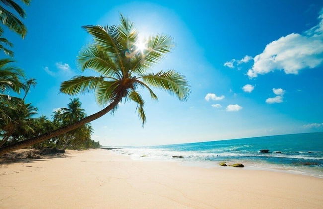 Madagascar - Foto 1