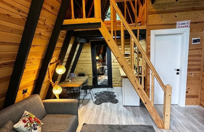 Asva Villa şelale evleri - Photo 6