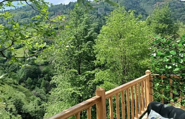 Asva Villa şelale evleri - Photo 9