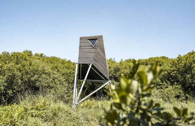 K4 Kudhva Treehouse Cabin With sea View - Photo 20