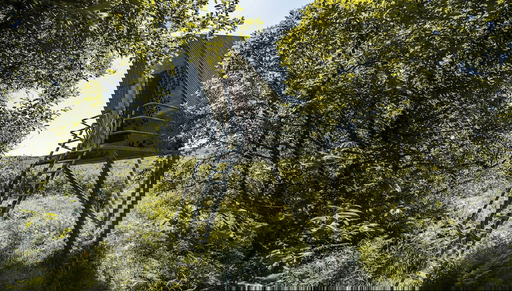 Image principale
