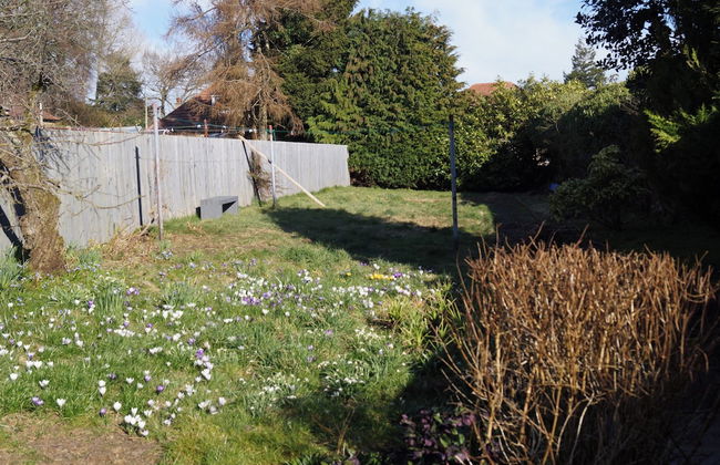 3-bed Cottage With Garden in Kirriemuir Centre - Foto 44