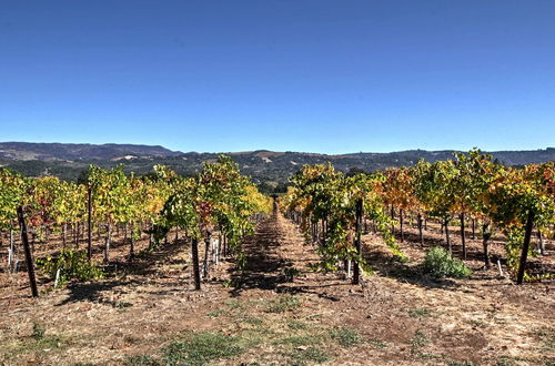 Photo 12 - Beautiful Sonoma House w/ Patio & Vineyard Views