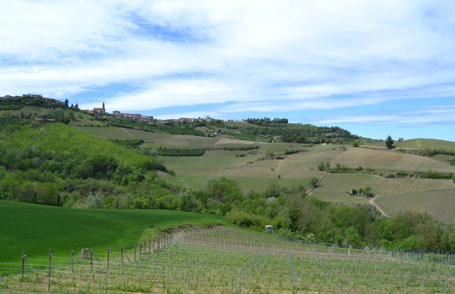 Le Cornici - Cascina di Charme - Foto 44