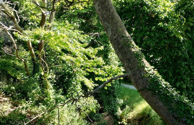 Zina s Cottage in Afetes - Foto 32