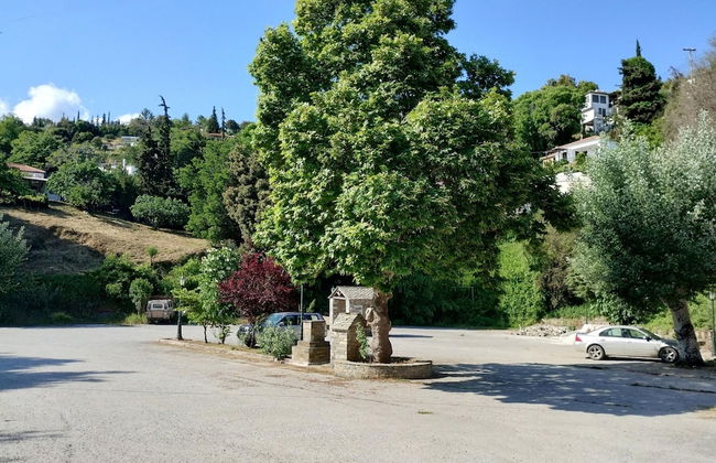 Zina s Cottage in Afetes - Foto 34
