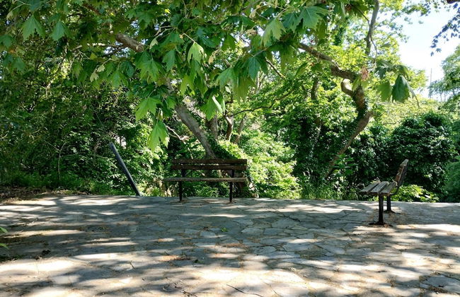 Zina s Cottage in Afetes - Foto 31