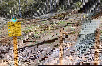 Foto 26 - EXPLORE Munising Alger Falls