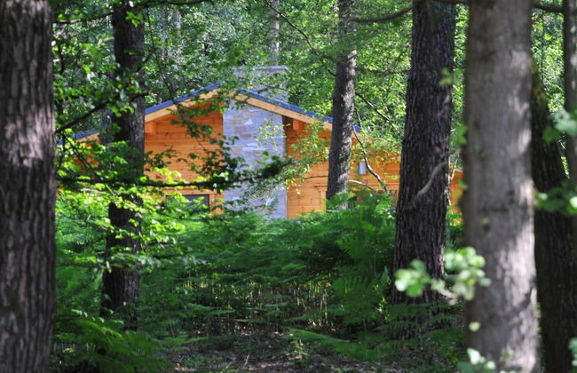 Modern, Wooden Chalet With Wood Burning Stove, in the Forest - Foto 45