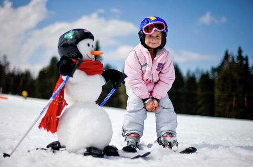 Photo 25 - Chalet Near the ski Area in Murau