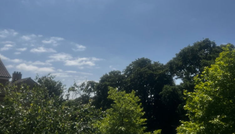 Imagem principal