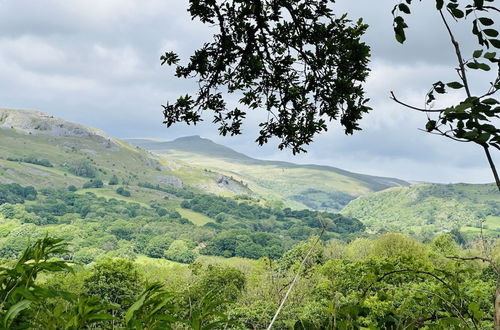 Photo 76 - Ynys Arms