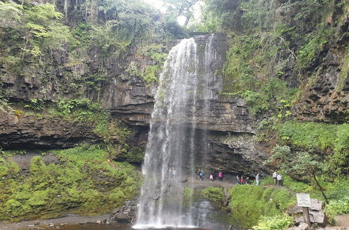 Photo 55 - Waterfall Country Escape