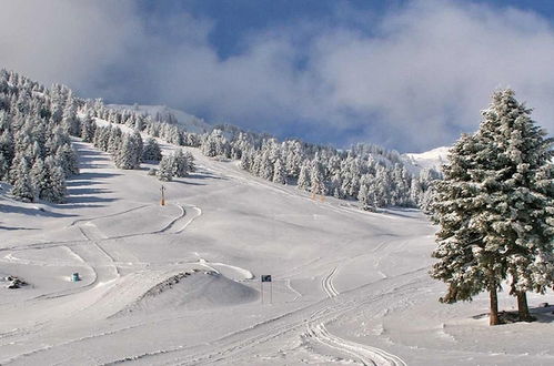 Photo 25 - Forest Cosy House - Lagkadia Amazing View