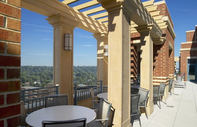 Incredible Apt in Pentagon City - Foto 50