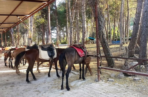 Photo 15 - Pine Village Bungalows Ölüdeniz