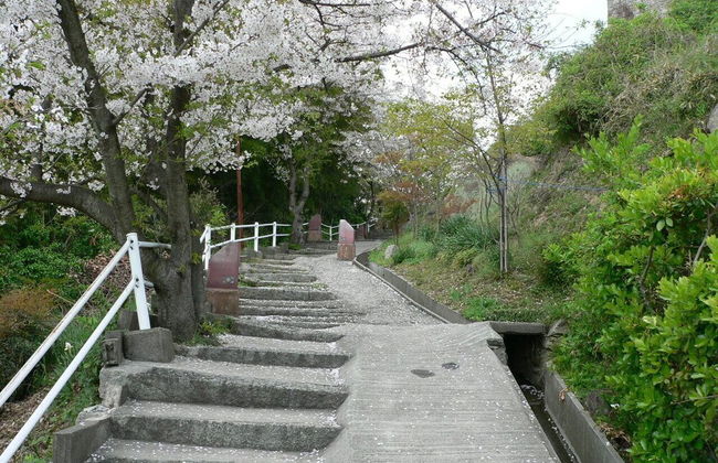 Saka no Kaze - Foto 26