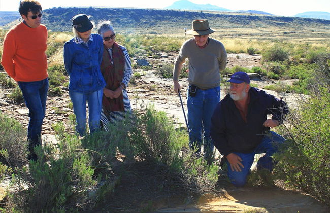 Ganora Guestfarm & Excursions - Foto 48