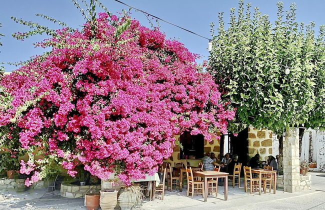 Villa Olivia in Vrises - Photo 9
