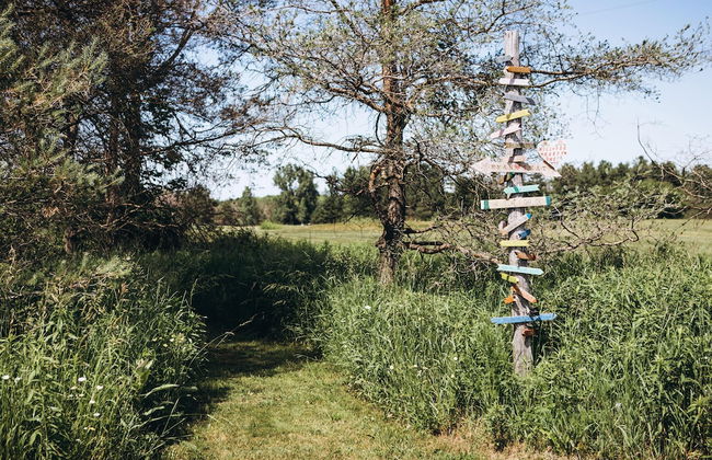Dreamers Writing Farm - Foto 40