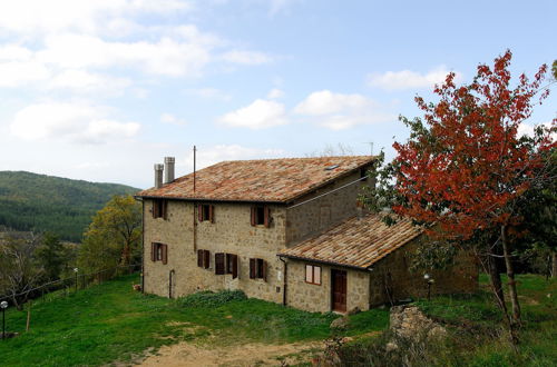 Foto 18 - View of Monte Amiata for 3 Guests Agriturismo La Piaggia - Vivo D'orcia