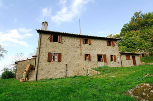 Photo 12 - - Agriturismo La Piaggia - Forest View Apartment on the Ground Floor 2 Guests