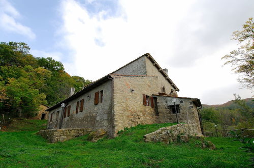 Photo 11 - - Agriturismo La Piaggia - Forest View Apartment on the Ground Floor 2 Guests