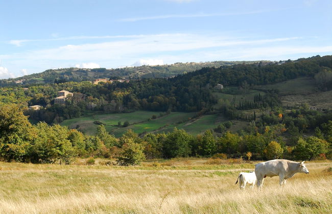 - Agriturismo La Piaggia - Forest View Apartment on the Ground Floor 2 Guests - Foto 15