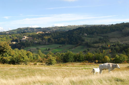 Foto 20 - View of Monte Amiata for 3 Guests Agriturismo La Piaggia - Vivo D'orcia