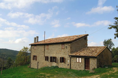 Photo 1 - - Agriturismo La Piaggia - Forest View Apartment on the Ground Floor 2 Guests