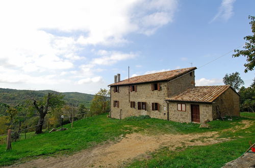 Foto 7 - - Agriturismo La Piaggia - Forest View Apartment on the Ground Floor 2 Guests