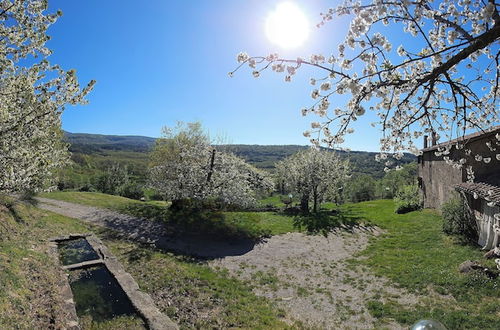 Foto 11 - - Agriturismo La Piaggia - Forest View Apartment on the Ground Floor 2 Guests