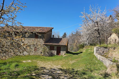 Photo 20 - - Agriturismo La Piaggia - Forest View Apartment on the Ground Floor 2 Guests