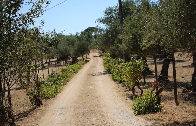 Casa das Moles - Photo 18